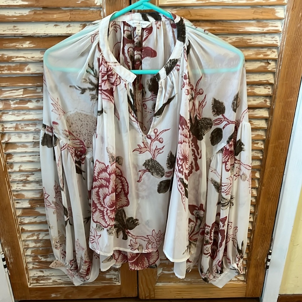 Sheer Blouse - image 1